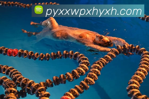 奖项3